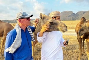 صلالة: رحلة سفاري صحراوية لمدة يوم كامل مع وجبة غداء