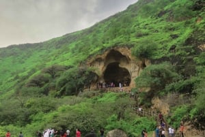 Salalah: Full-Day the magical Dhofar Tour with Lunch