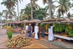 صلالة: جولة مدينة تاريخية بصحبة مرشد - التراث والثقافة