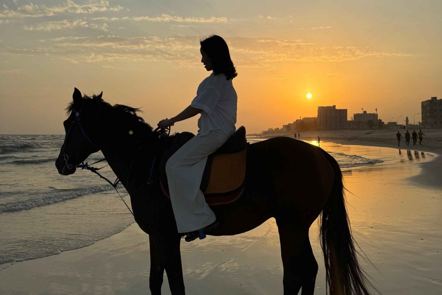 Salalah - Ridning vid stranden Hästridning vid stranden