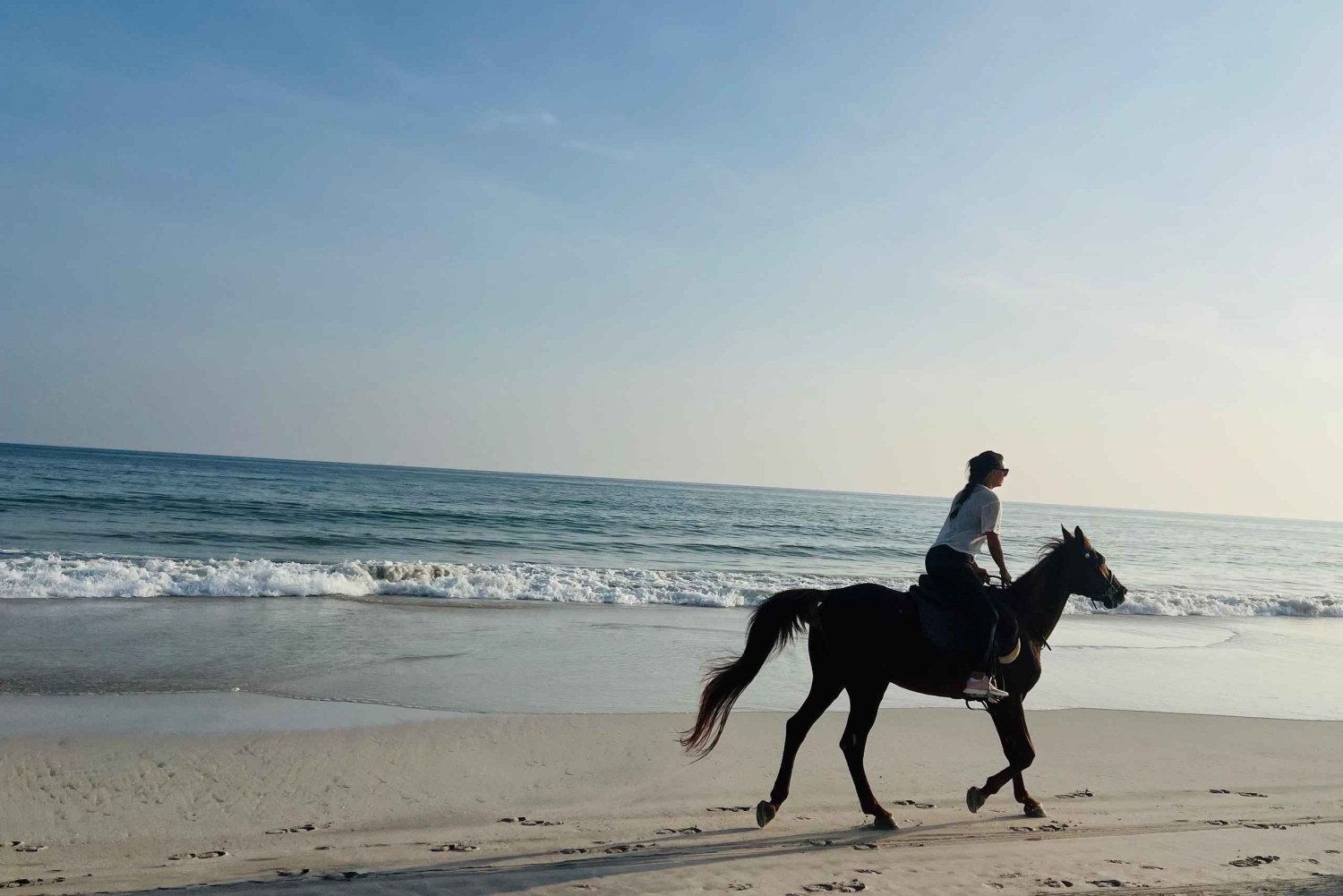 Salalah - Ridning vid stranden Hästridning vid stranden