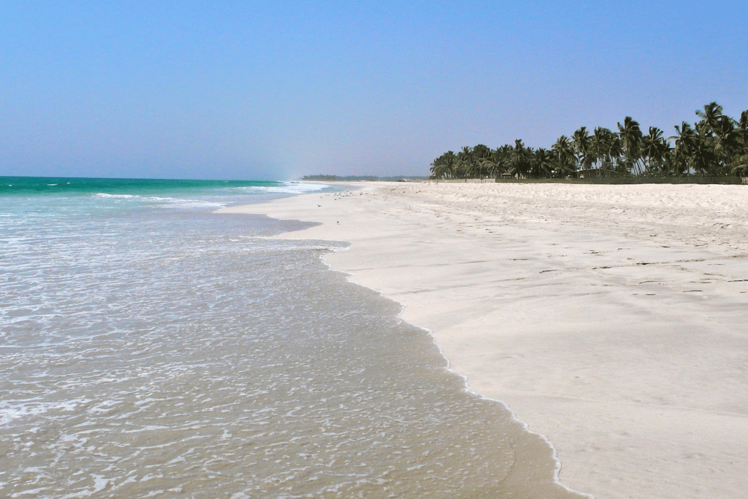 Salalah - Ridning vid stranden Hästridning vid stranden