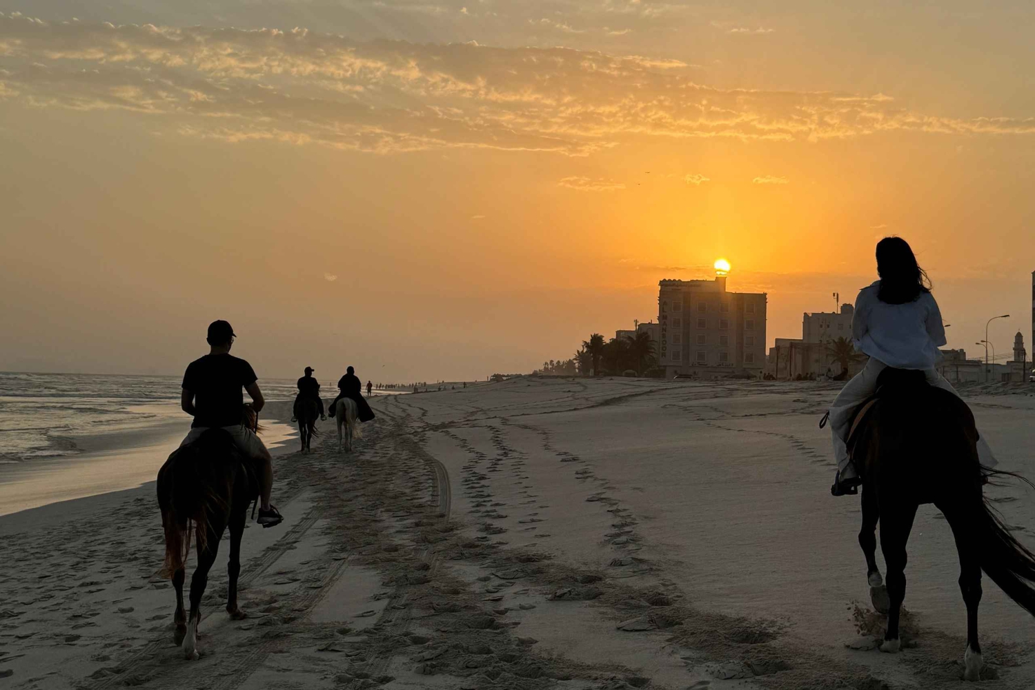 Salalah - Ridning vid stranden Hästridning vid stranden