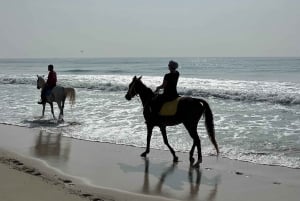 Salalah: Ridning ved stranden