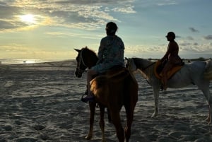 Salalah: Horse Riding on the Beach with Hotel Pick and Drop