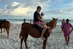 Salalah: Horse Riding on the Beach with Hotel Pick and Drop