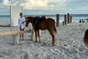 Salalah: Horse Riding on the Beach with Hotel Pick and Drop