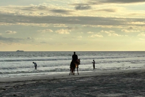 Salalah: Horse Riding on the Beach with Hotel Pick and Drop