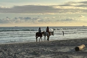 Salalah: Horse Riding on the Beach with Hotel Pick and Drop