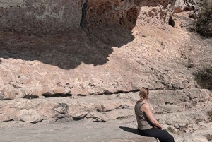 Salalah: Dagstur til Jebel Safari-eventyr med frokost