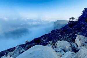 Salalah: Dagstur til Jebel Safari-eventyr med frokost