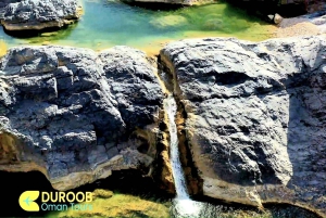 Salalah: Dagstur til Jebel Safari-eventyr med frokost