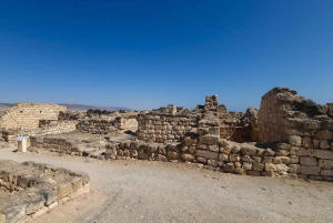 Salalah: Dagstur til Jebel Safari-eventyr med frokost