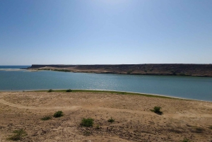 Salalah: Dagstur til Jebel Safari-eventyr med frokost