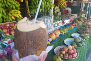 Salalah: Dagstur til Jebel Safari-eventyr med frokost