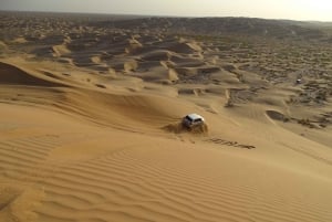 Salalah: leggendario safari notturno nel deserto del Rub' al Khali