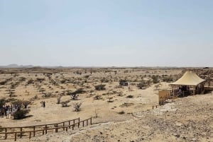 Salalah: leggendario safari notturno nel deserto del Rub' al Khali