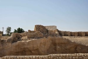 Salalah: leggendario safari notturno nel deserto del Rub' al Khali