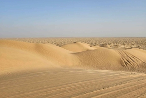 Salalah: leggendario safari notturno nel deserto del Rub' al Khali