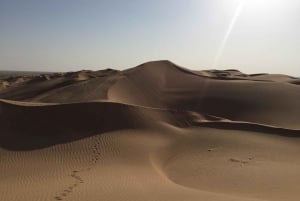 Salalah: leggendario safari notturno nel deserto del Rub' al Khali