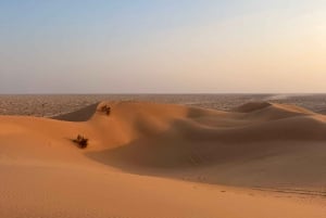 Salalah: leggendario safari notturno nel deserto del Rub' al Khali