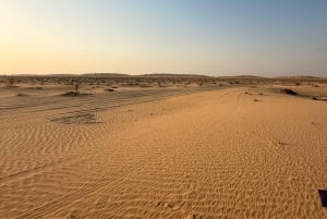 Salalah: leggendario safari notturno nel deserto del Rub' al Khali