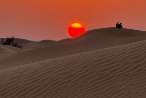 صلالة: رحلة السفاري الصحراوية الأسطورية في الربع الخالي بين عشية وضحاها