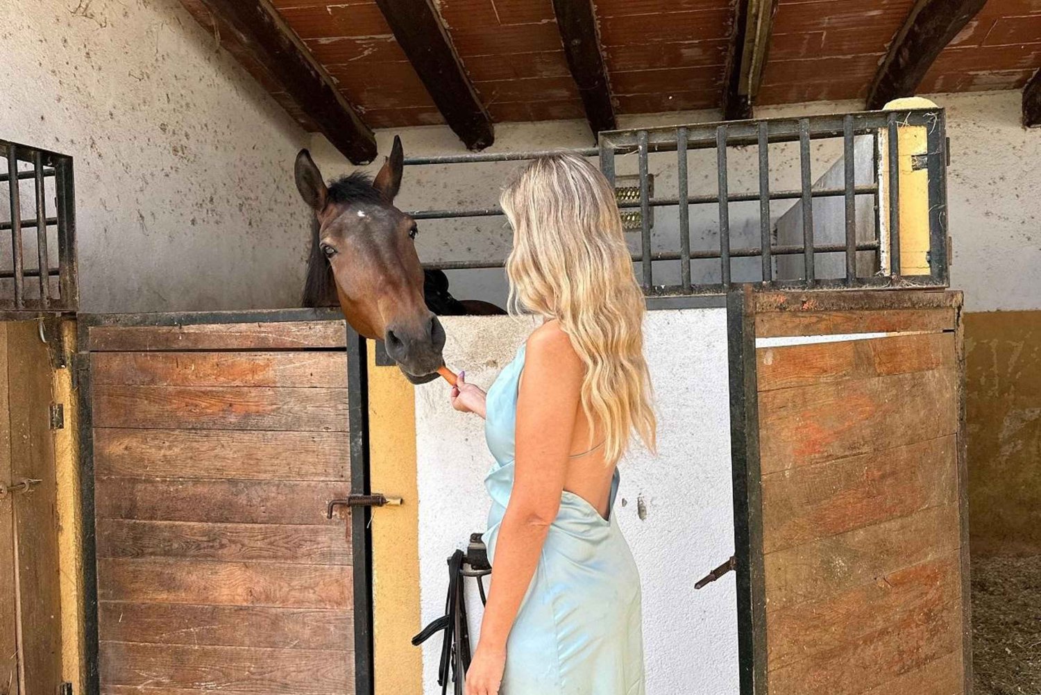 オマーン・サラーラ：夕暮れのビーチで楽しむアラビアンホースライド