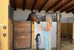 Salalah-Oman: Arabischer Ausritt am Strand bei Sonnenuntergang