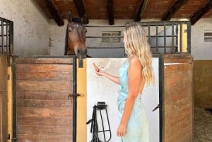 Salalah-Oman: Arabischer Ausritt am Strand bei Sonnenuntergang