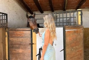 Salalah-Oman: Arabischer Ausritt am Strand bei Sonnenuntergang