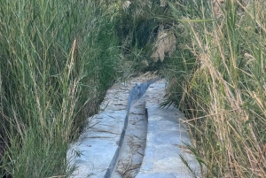 Salalah: Overnight Trip to Shuwaymiyah with Dinner