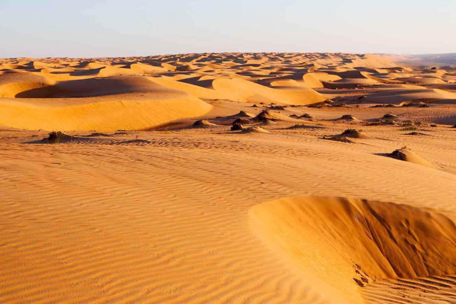 'Salalah Sands äventyr: Utforska öknen'