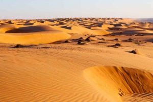 'Salalah Sands Adventure: Salahal Salah: Tutki aavikkoa'