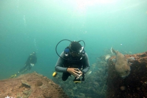 Salalah: Scuba Diving Discover Oman’s hidden underwater gems