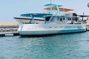 Mascate: crucero semisubmarino con esnórquel y aperitivos