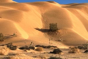 Salalah: Pustynne safari o zachodzie słońca - Rub Al Khali - Pusta Dzielnica