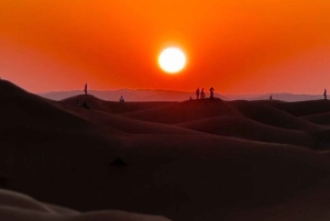 Salalah: Sonnenuntergang-Wüstensafari in Salalah (private Tour)