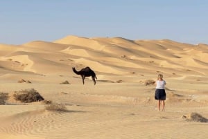 Salalah: Sonnenuntergang-Wüstensafari in Salalah (private Tour)