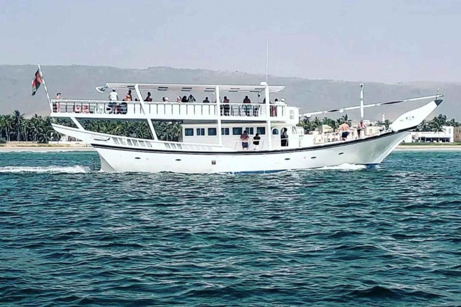 Salalah: Swimming with Dolphins with Lunch & Pick up