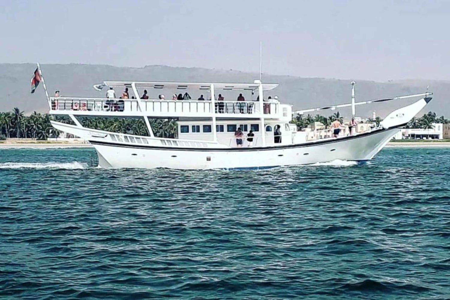 Salalah: Pływanie z delfinami, lunch i odbiór