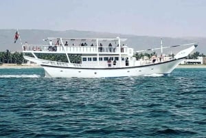 Salalah: Swimming with Dolphins with Lunch & Pick up