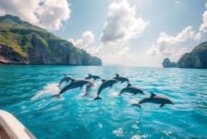 Salalah: Swimming with Dolphins with Lunch & Pick up