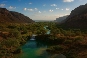 Salalah: Taqah ja Wadi Darbat – majesteettinen retki