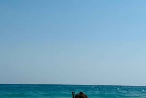 Salalah: Tur till Fazayah Beach och simning