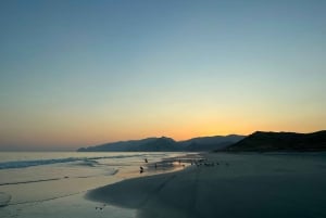 Salalah: Tur til Fazayah Beach og svømning