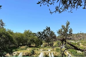 Wycieczka do Salalah: Wodospady i zieleń