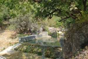 Viagem a Salalah: Cachoeiras e vegetação