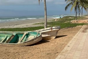 Salalah: Wadi Darbat, ,Teeq Cave - Baobou Trees Tour