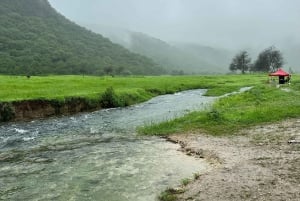 Salalah: Wadi Darbat, ,Teeq Cave - Baobou Trees Tour